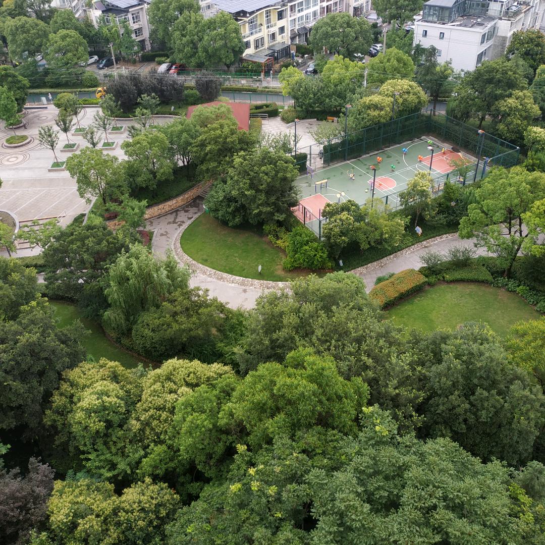 明天美好