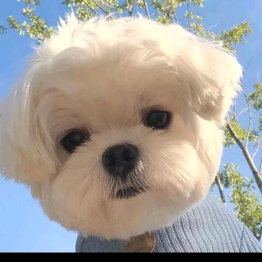 是石姐姐哟🤗🤗