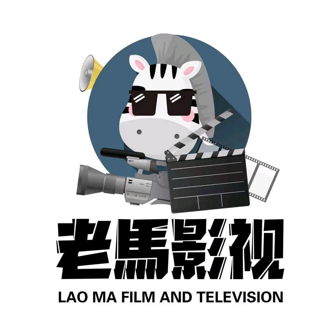 老馬（专业解码）双机无盘