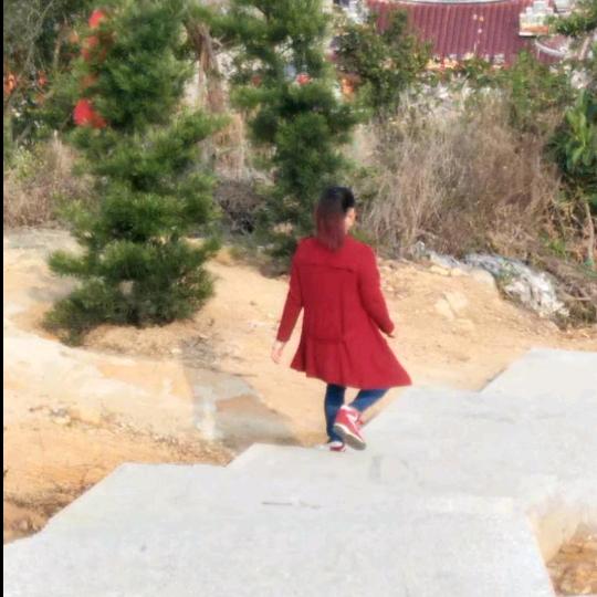 心语