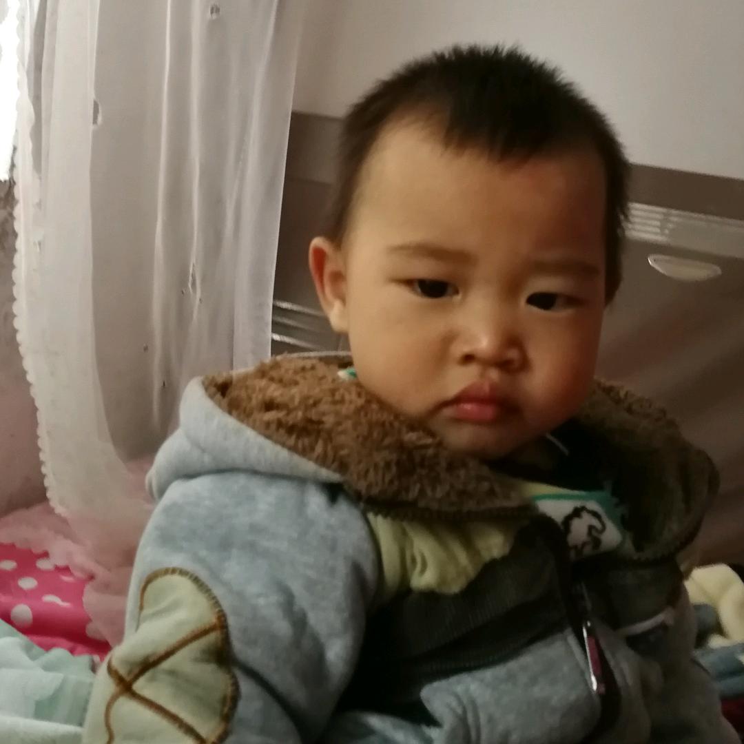 海口平安乐搬家公司