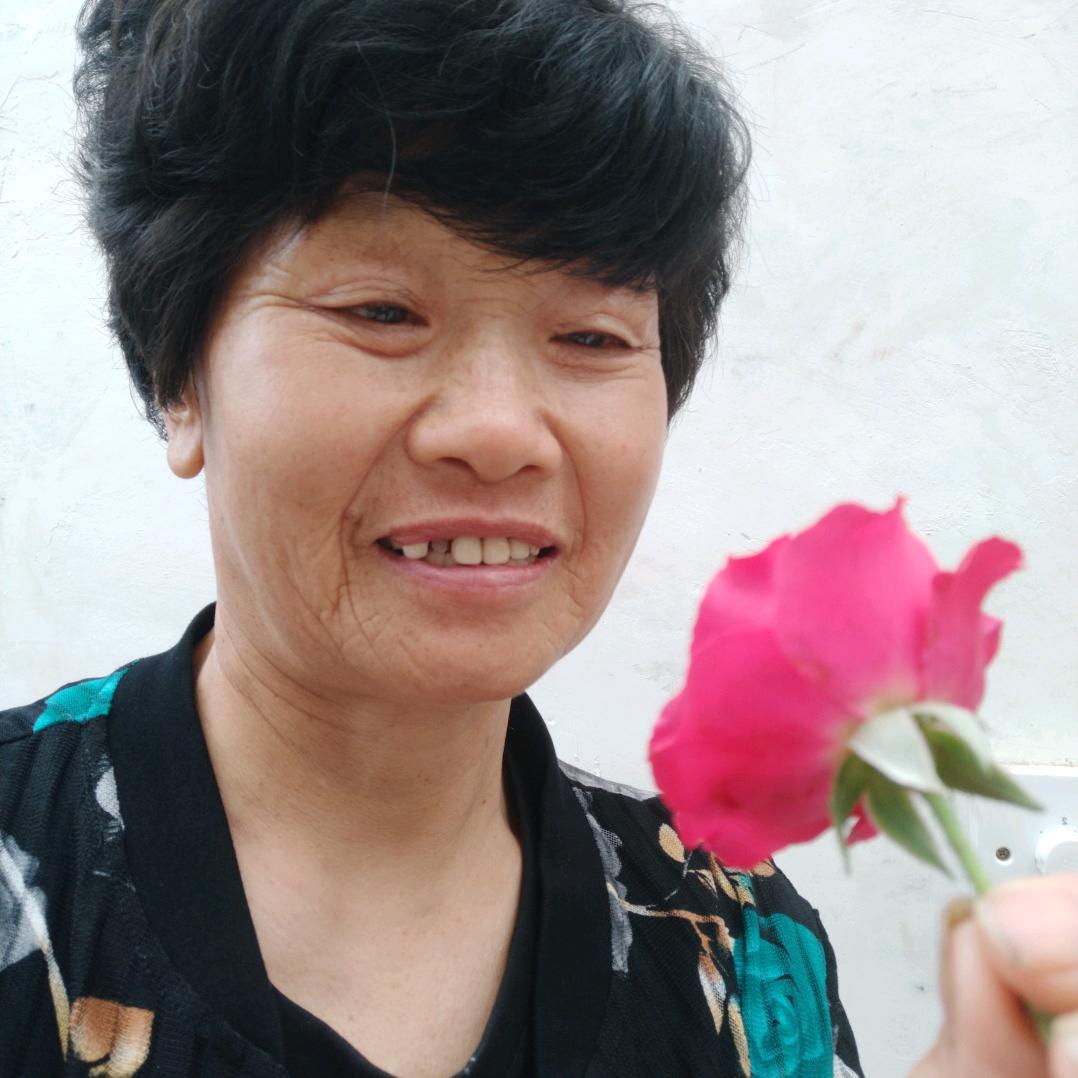 高速老婆