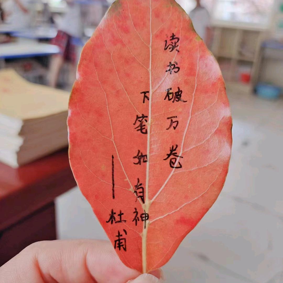 未来可期@范