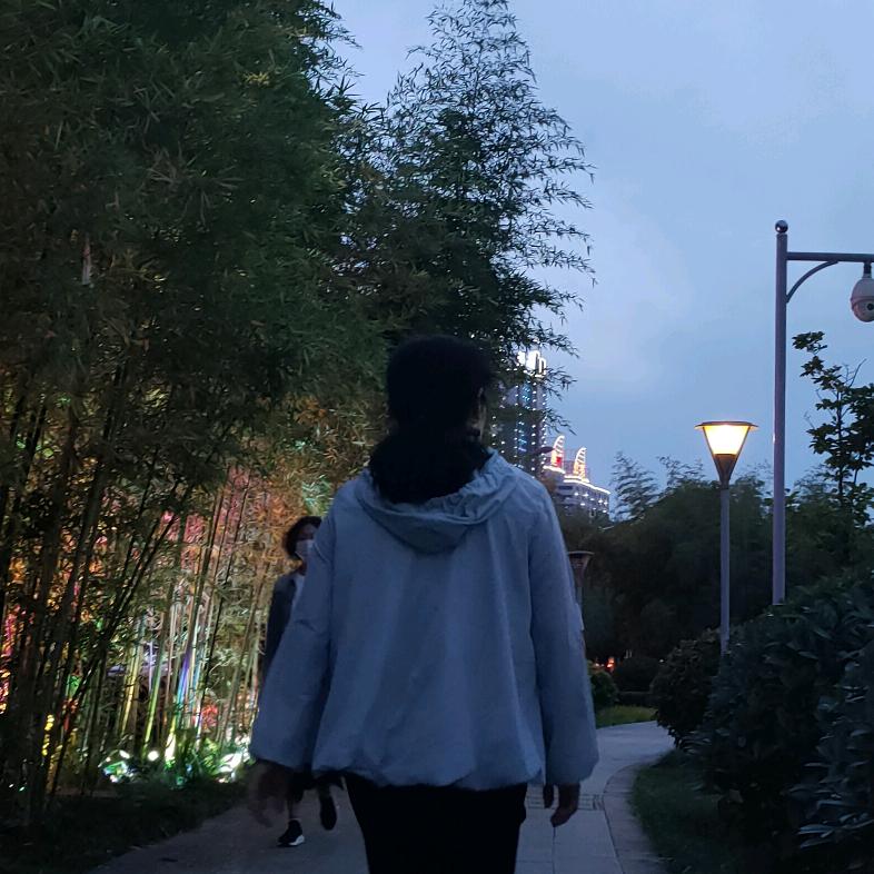 🌺梅花鹿🌺