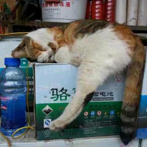 人在做天在看