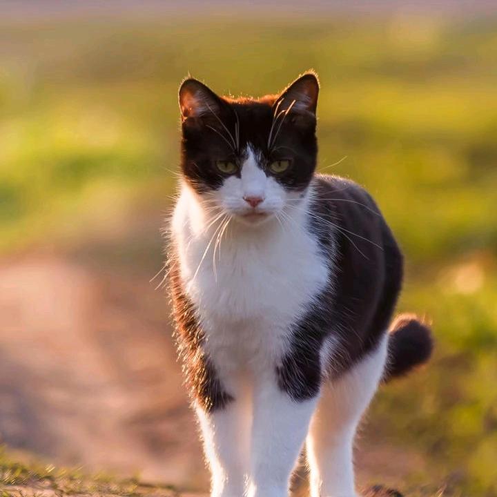 妍熙☆🔥🌹🌹