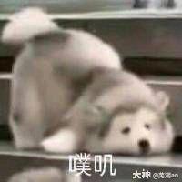 单孜