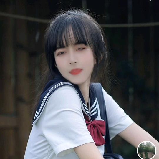 那年春天的杨柳