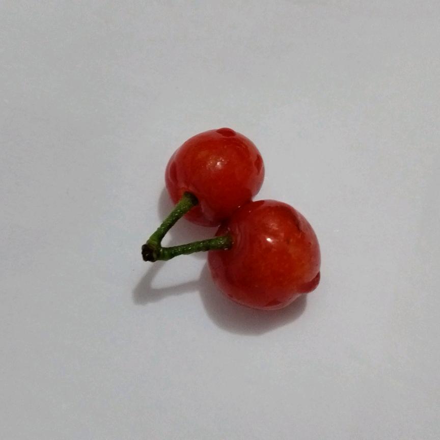 🍒🍒🍒🍒