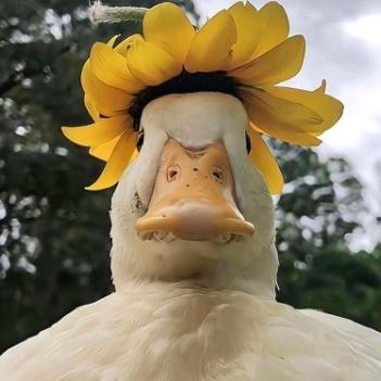 许三多