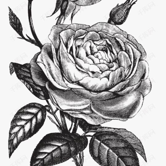 浮生若梦潮起潮落