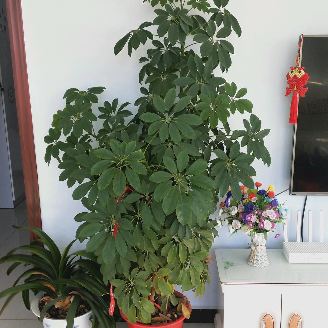 永不言弃