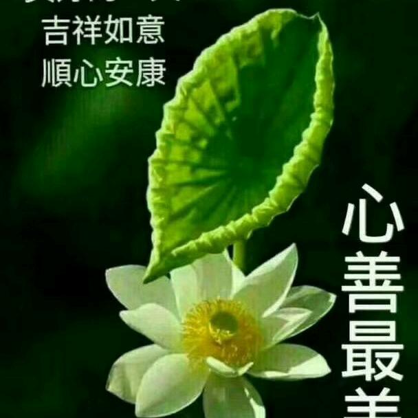 开心果！