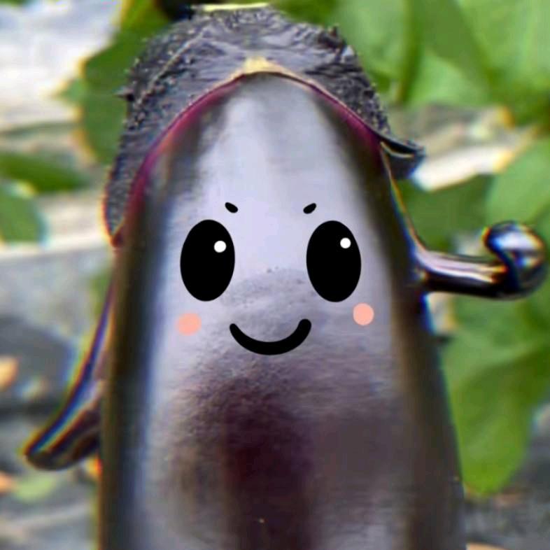 今天也要好好加油哦