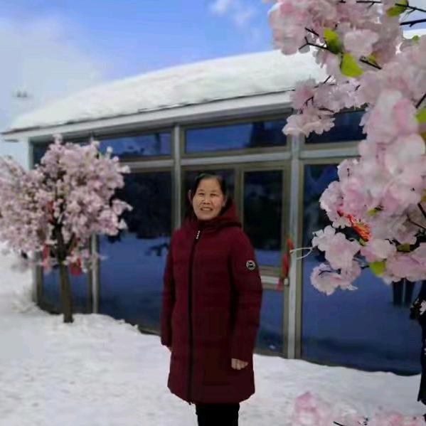 农村张姐