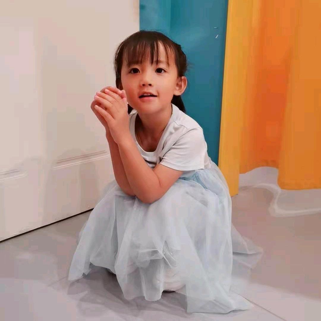 淑女