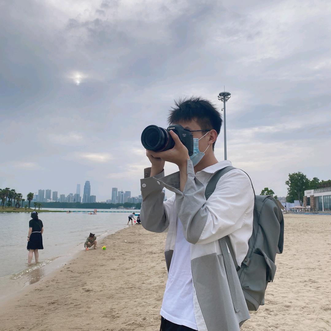 清晨第八日的蝉