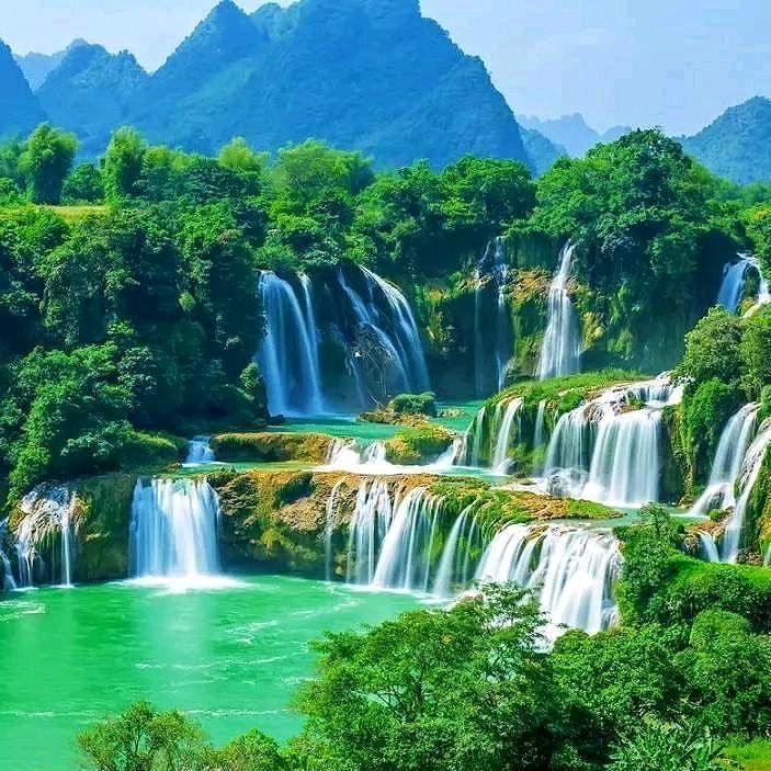 丰润蔬菜种苗有限公司