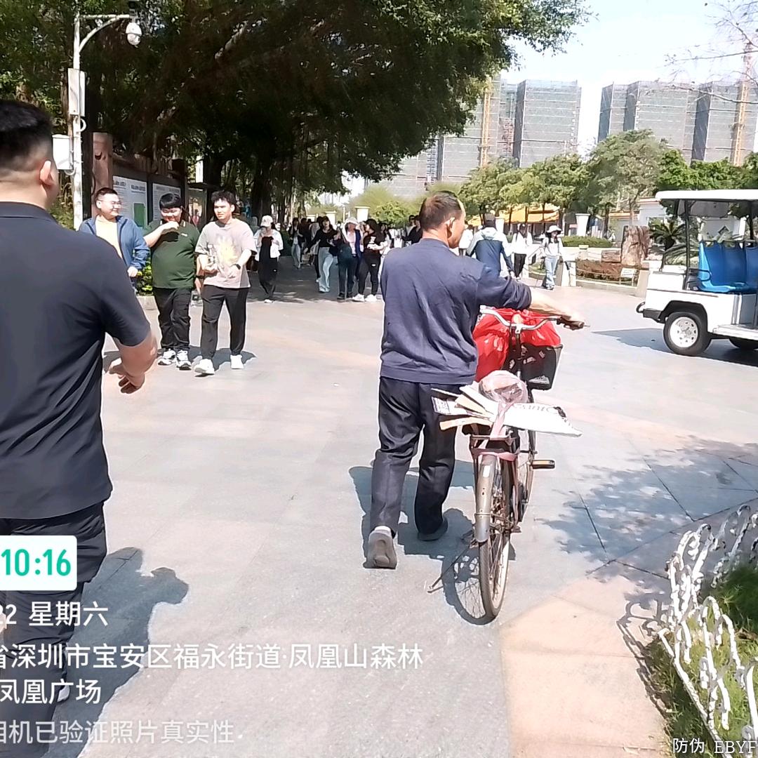 粤北南漂深圳混