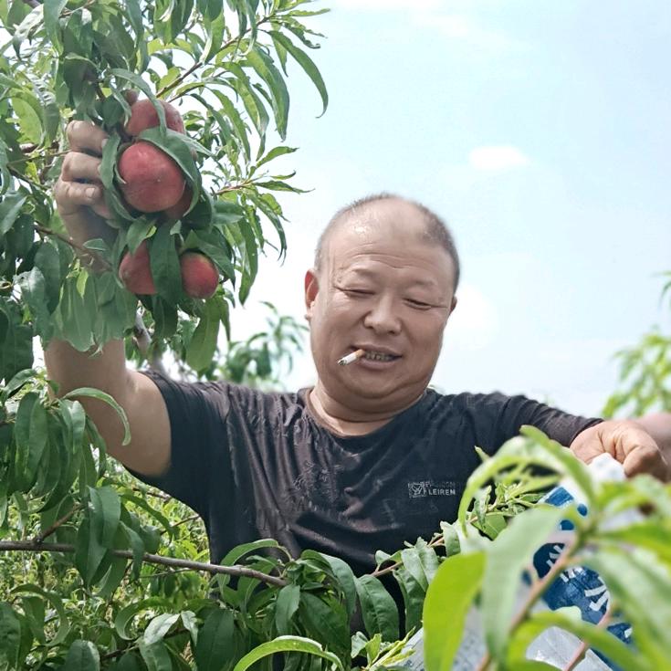 新农人宏斌（记录生活点滴）求关注