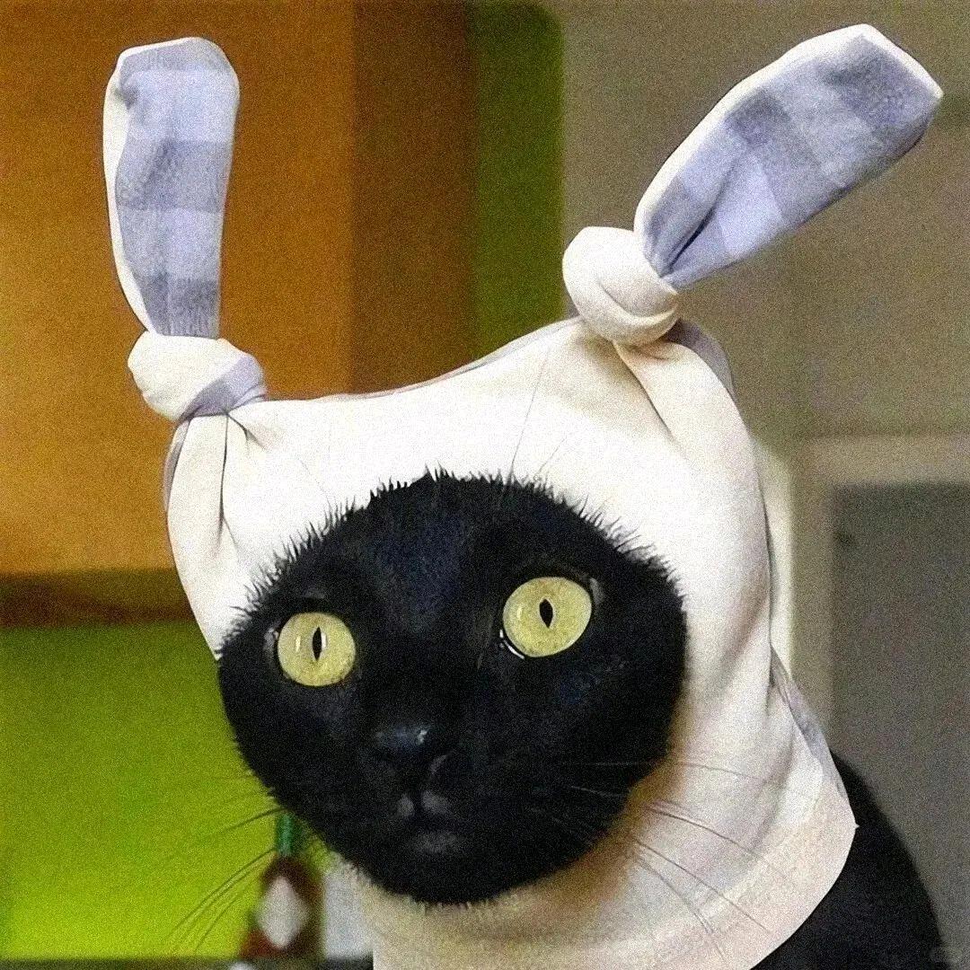 理查