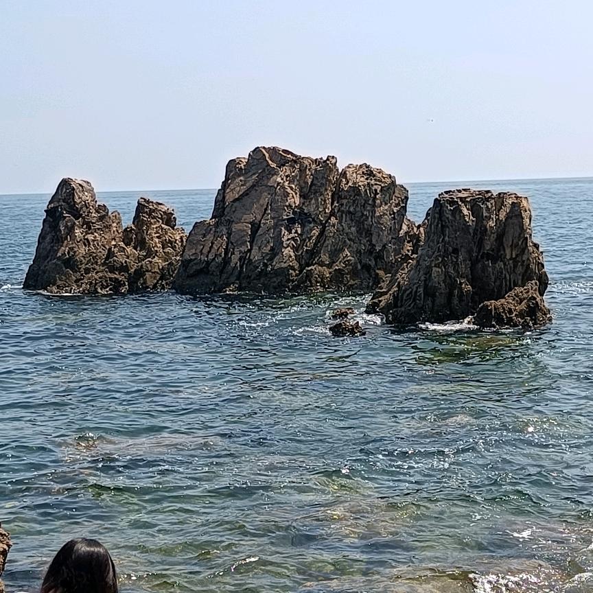 aa宝贝
