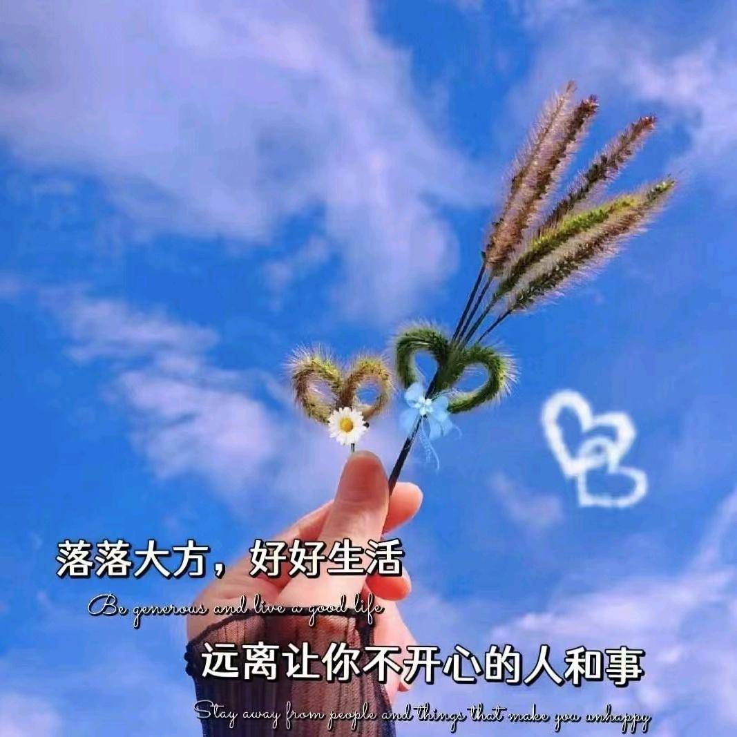 向阳花🌸