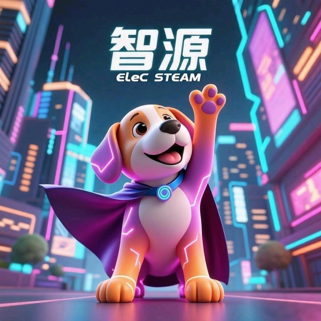 智源电动玩具工厂店