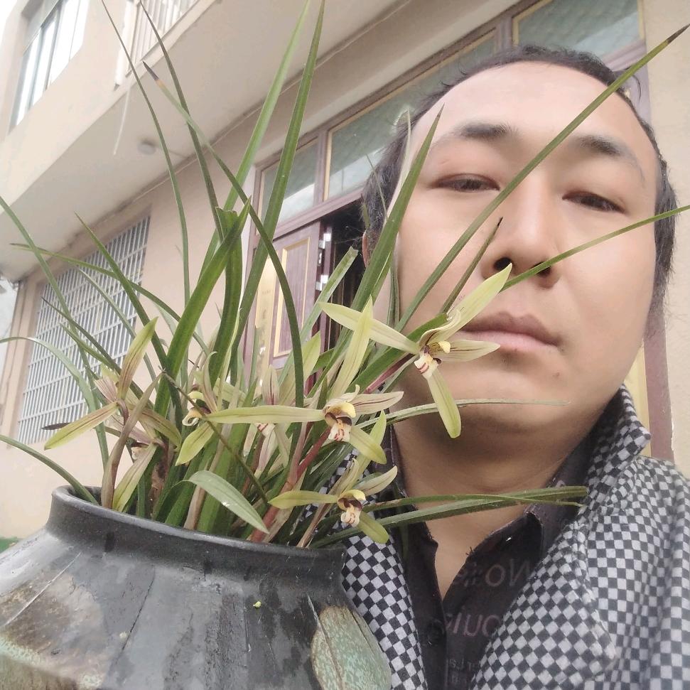 田海，水电安装（水电维修）