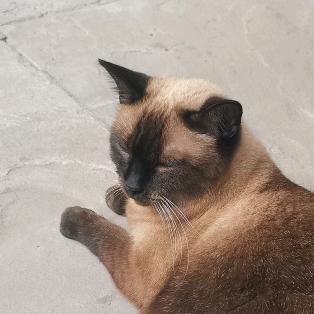 老文不忙