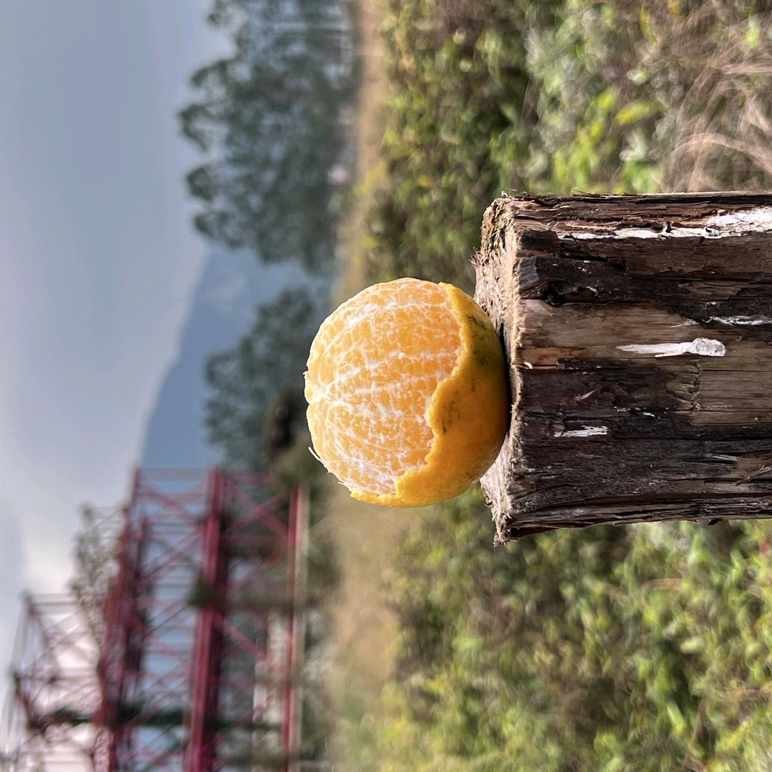 牵挂