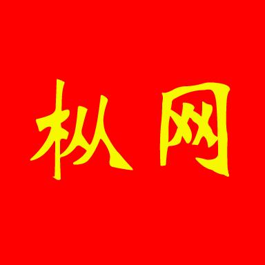 枞阳天天传媒