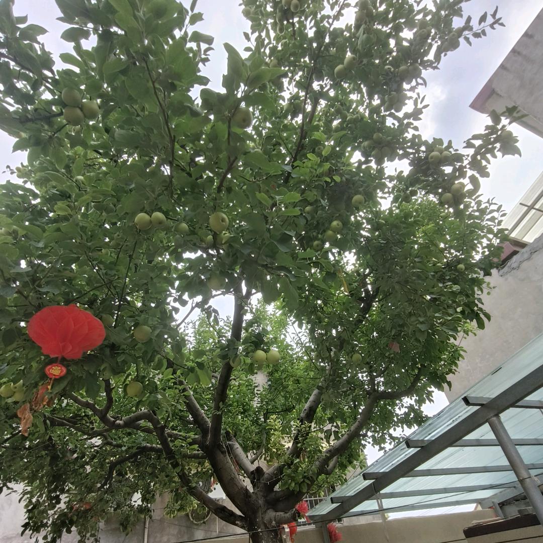 邂逅