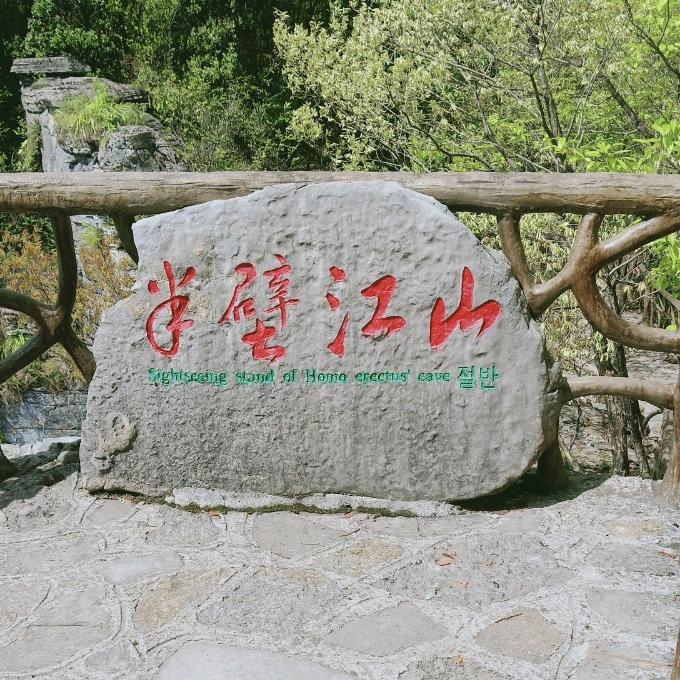 🕊꯭᭄ᩚ꯭猴子ℒᎭℯ⃝💞