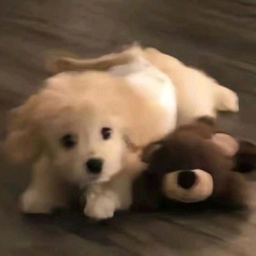 Selene（见过双高版）