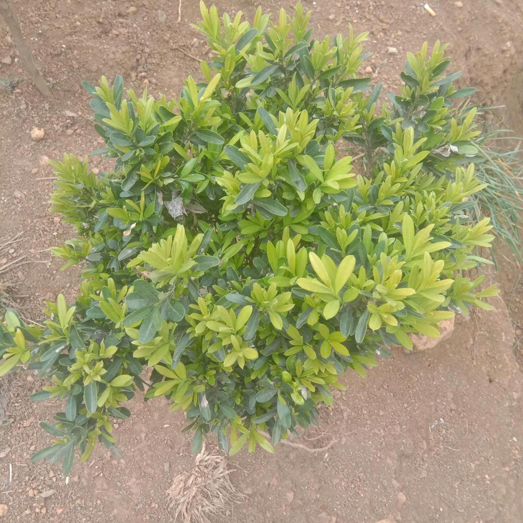 小雷，往前走，明天会更好💋