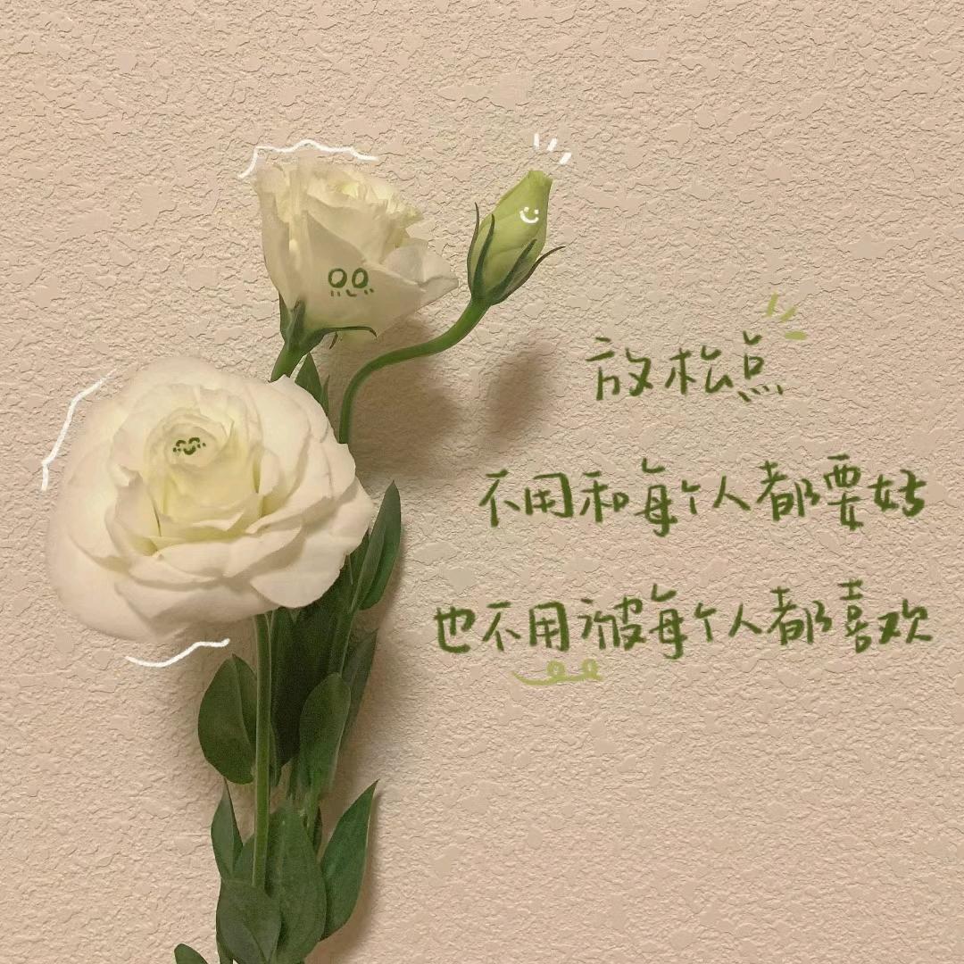 若如初见2663