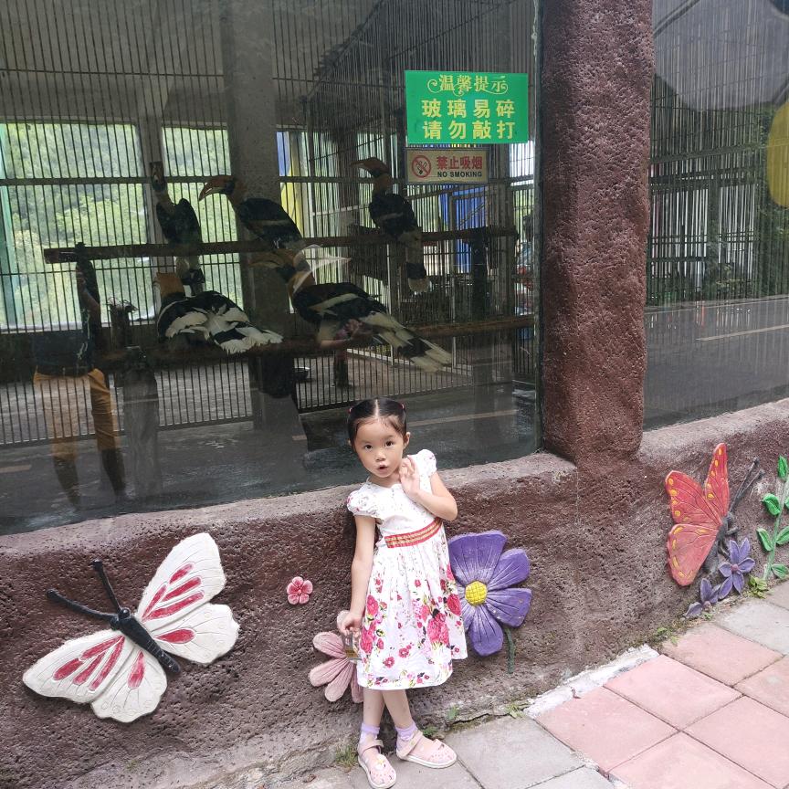 大师兄（刀）