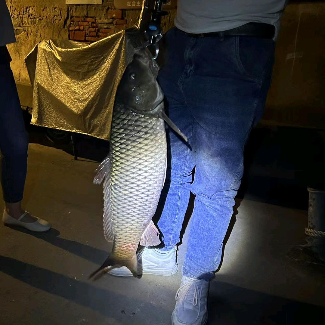 🎣爱钓鱼的小王同学🎣