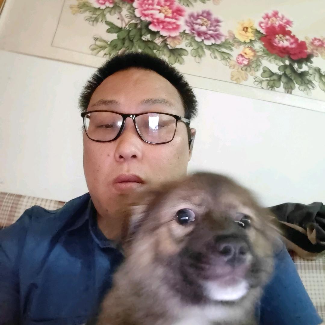 雷德