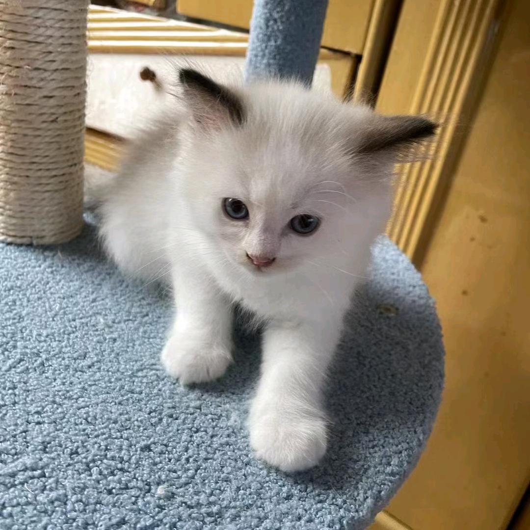@金果仓