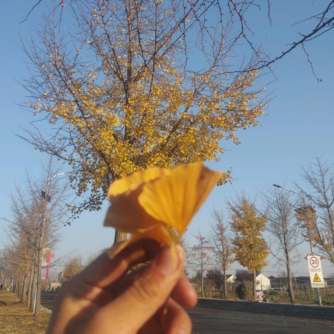 卖苹果