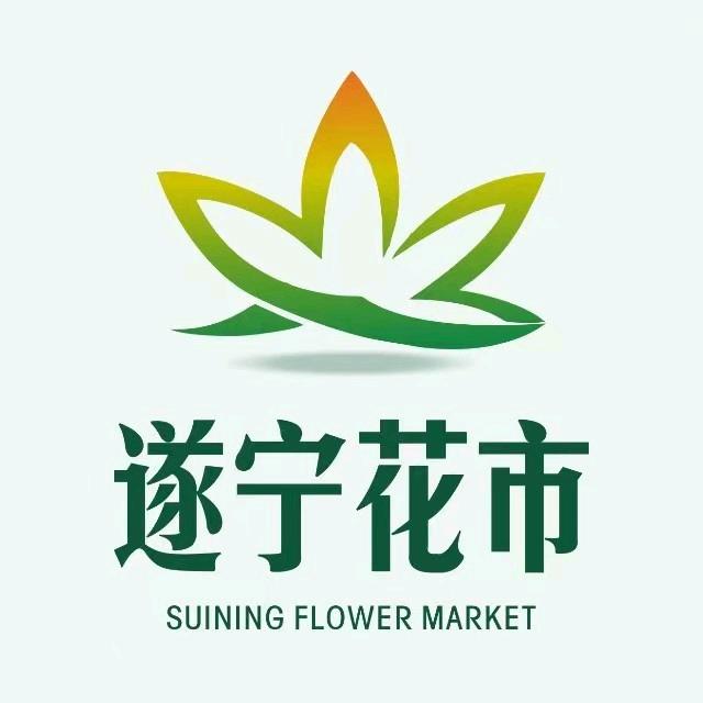 遂宁花市🌸