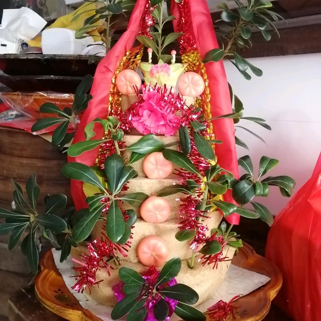 温州米塑陈贻春