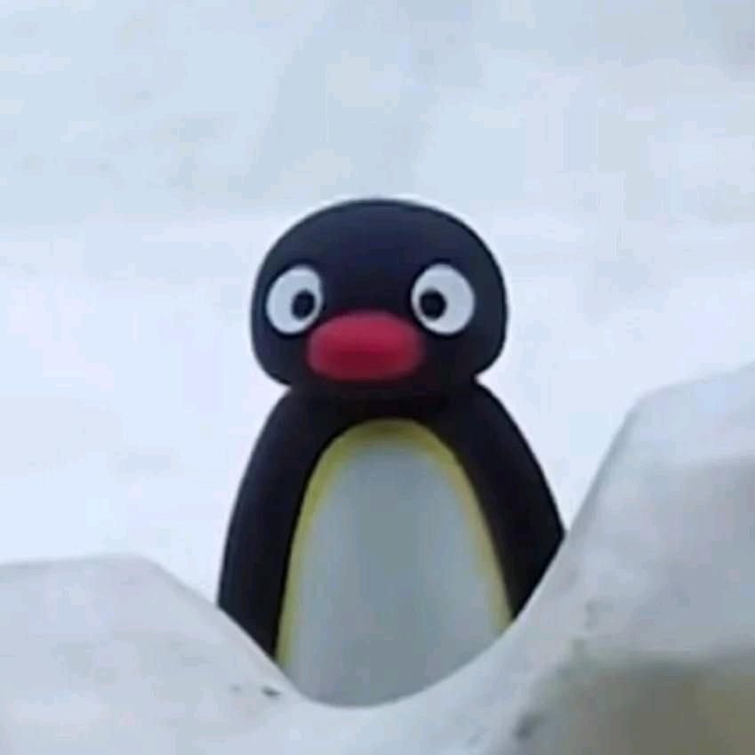 想亖的白色炸鸡
