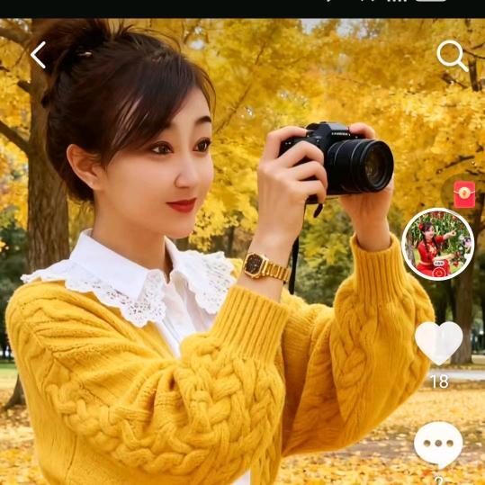 铁扇公主《求守护》