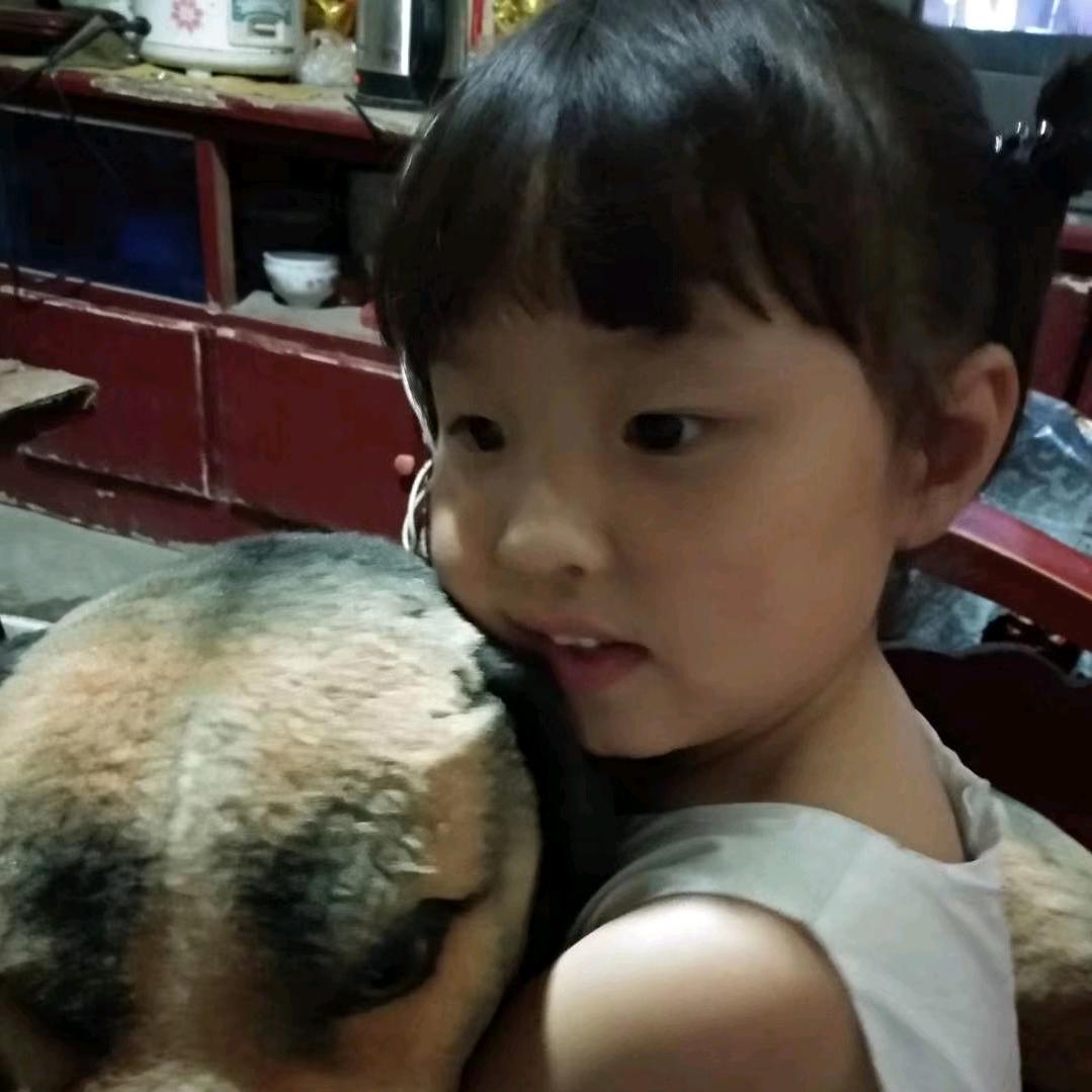 周口雁飞绿化有限公司