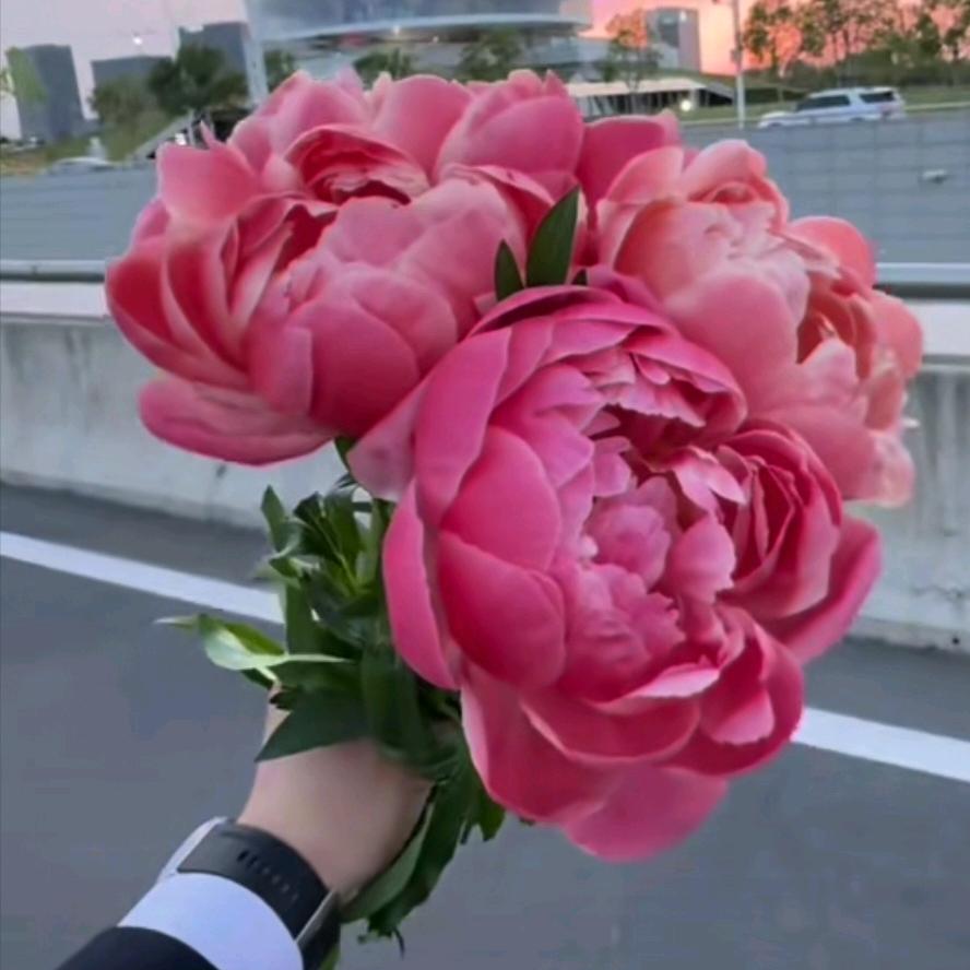 永川（中小）型旋挖钻机