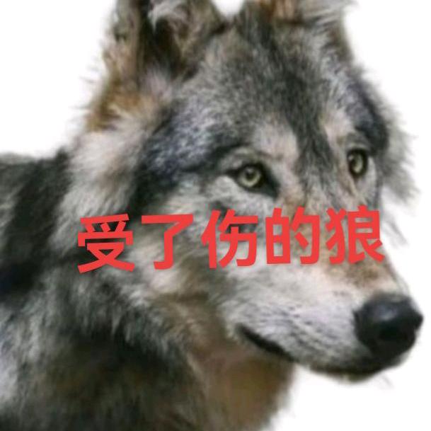 受了伤的狼