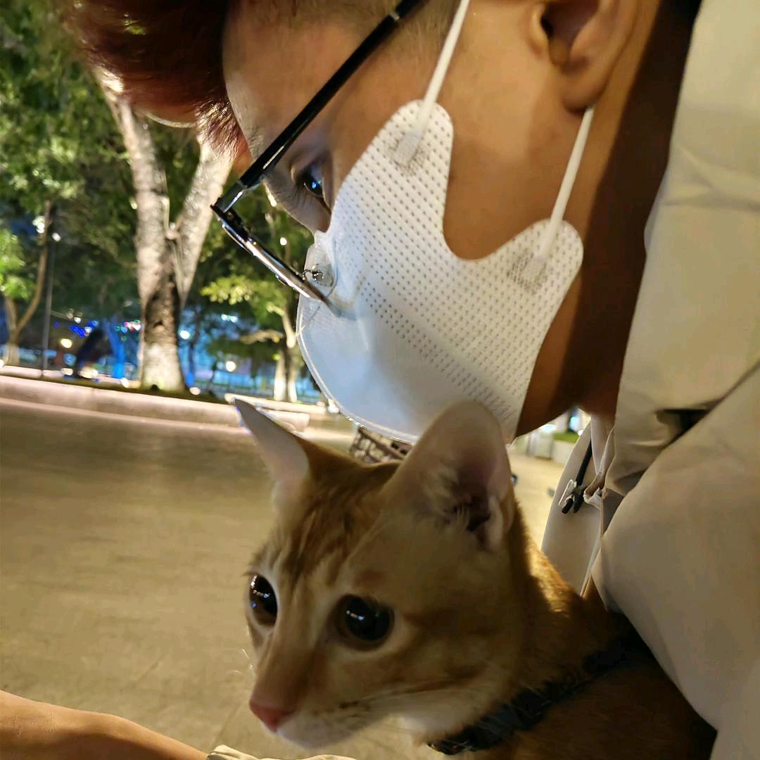 多╰金米发财╯胜